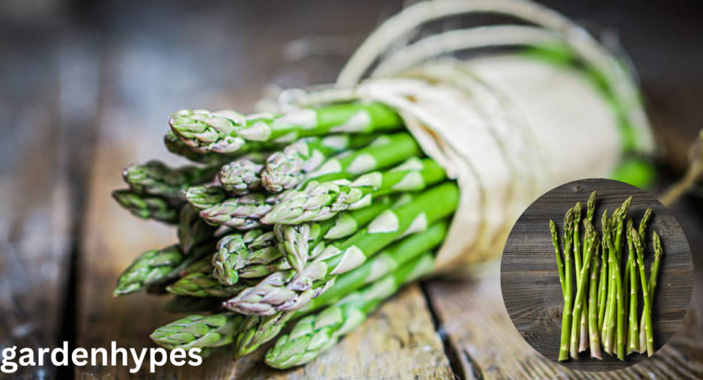 asparagus shortage