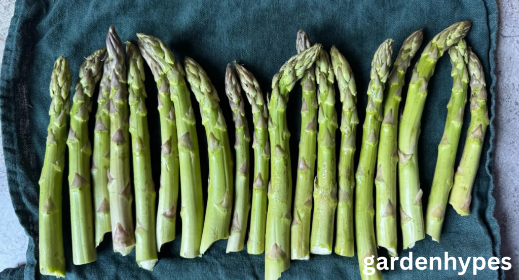 asparagus shortage