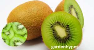 kiwi