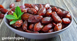 dates