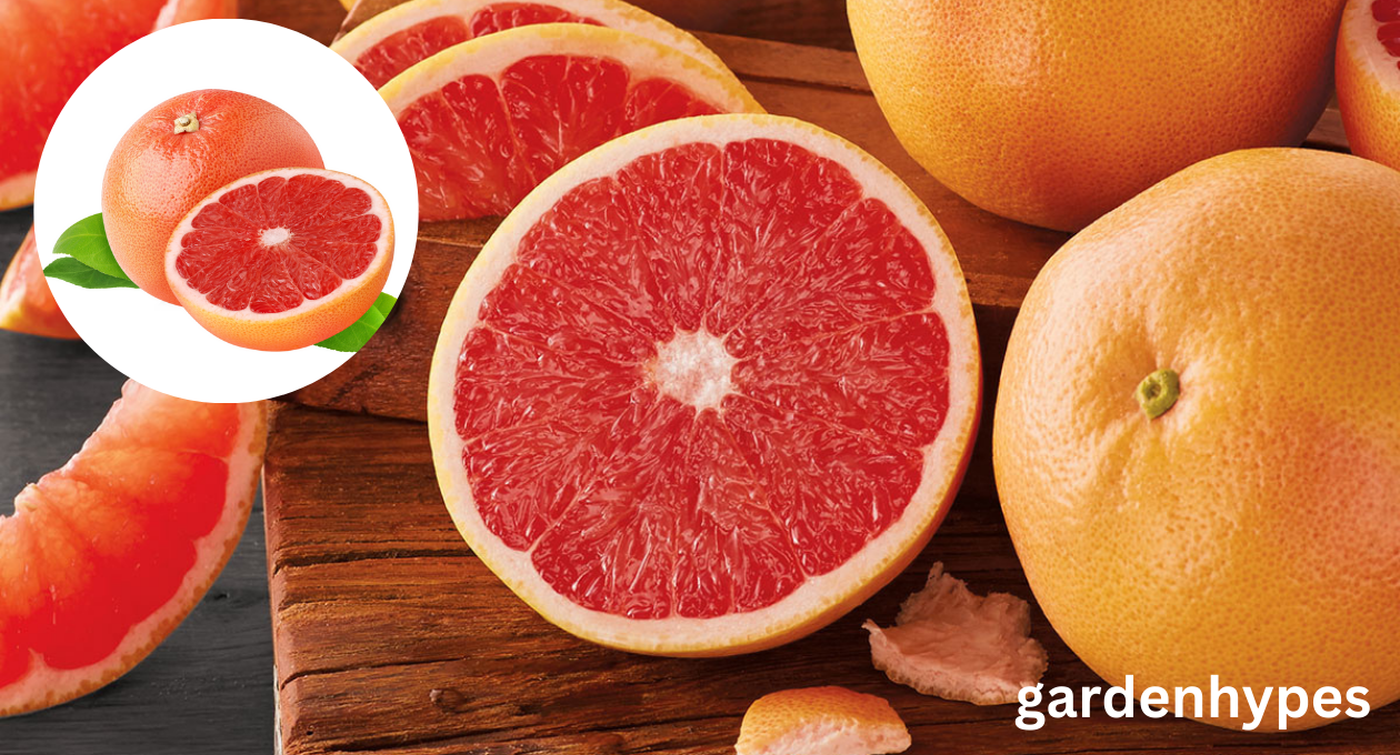 Grapefruit Shortage