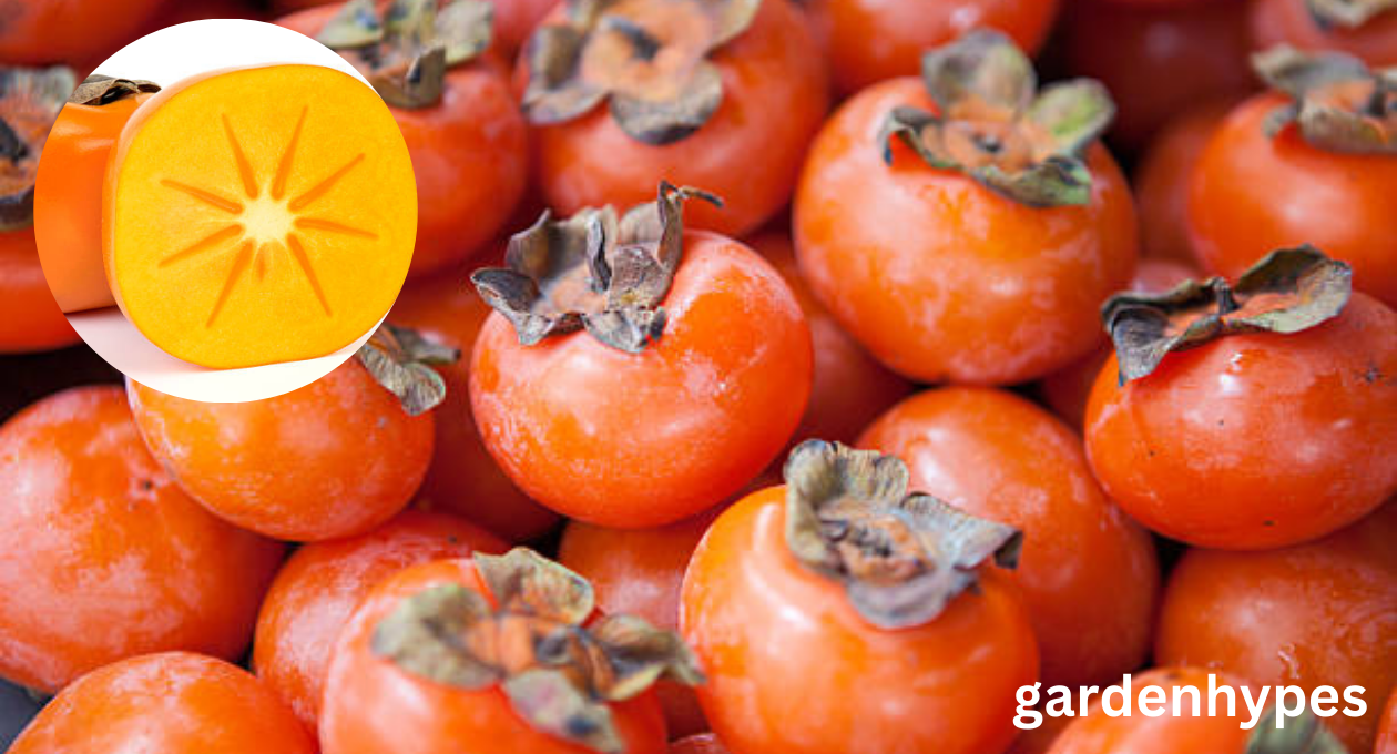 fruit looks like tomato