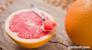 Grapefruit Shortage