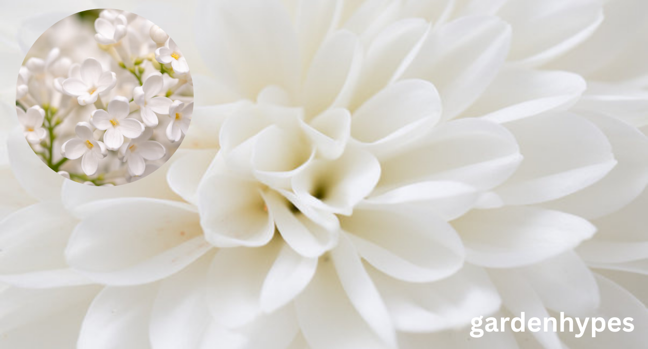 white flower