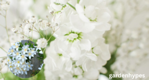 white flower
