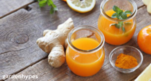 Ginger Shortage