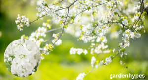 white flower