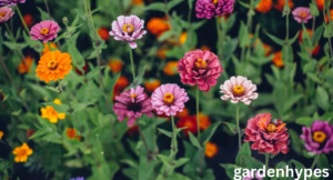 Rabbit Resistant Plants