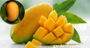 Sweetest Mango