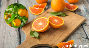 Sweetest Orange