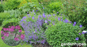 Rabbit Resistant Plants