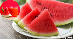 sweetest Watermelon