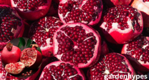 Sweetest Pomegranate