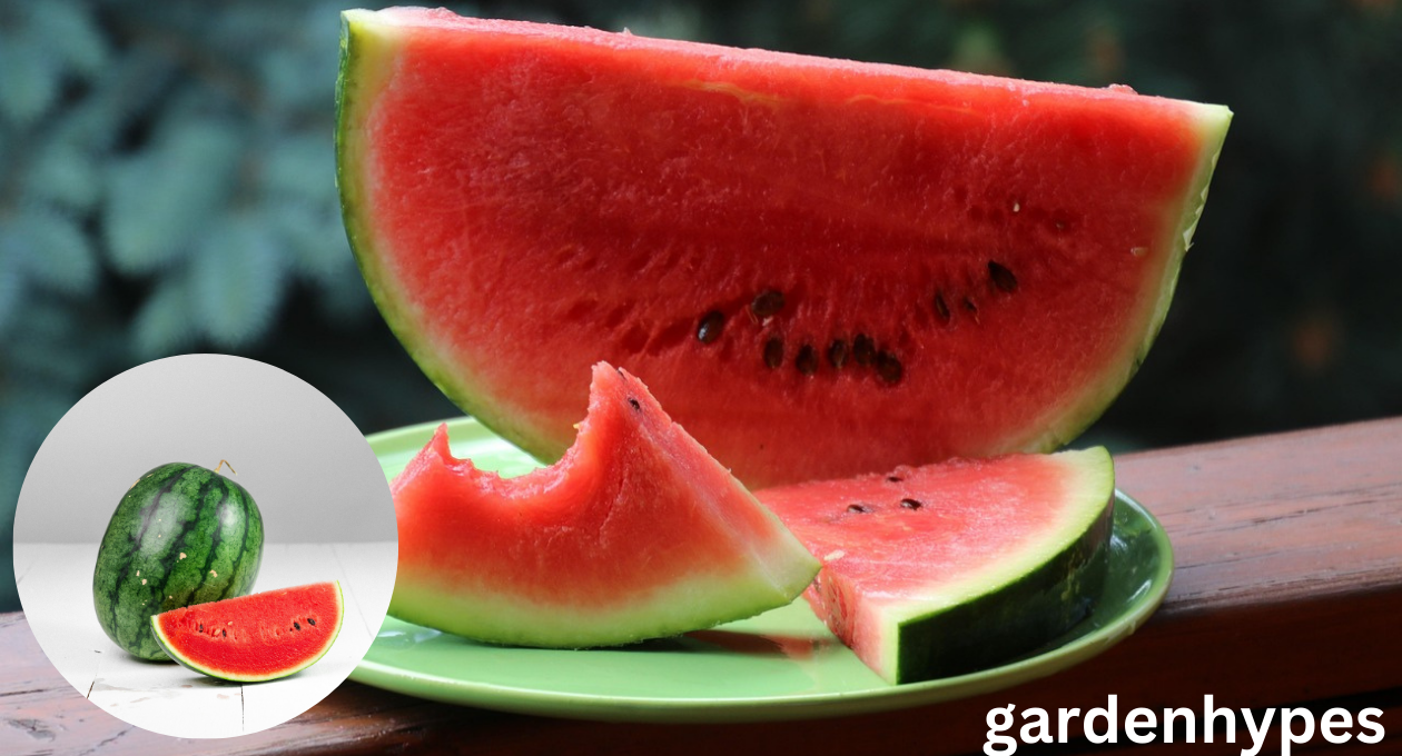 sweetest Watermelon