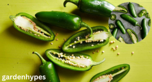 Jalapeno Shortage