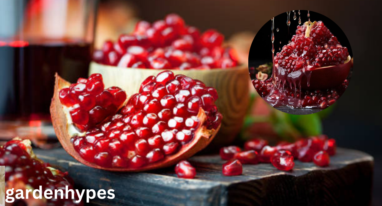 Sweetest Pomegranate