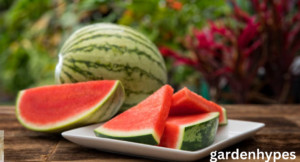 sweetest Watermelon