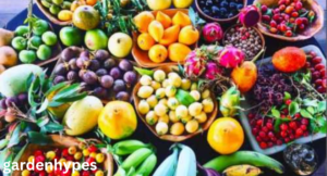 Egyptian Fruit