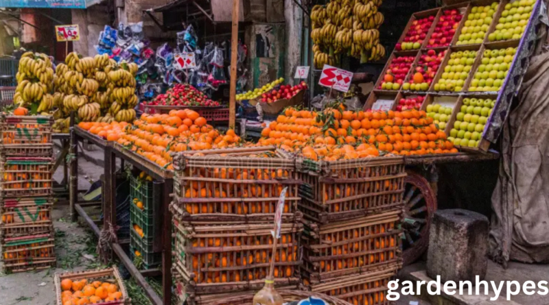 Egyptian Fruit