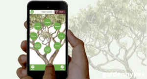 tree identification app