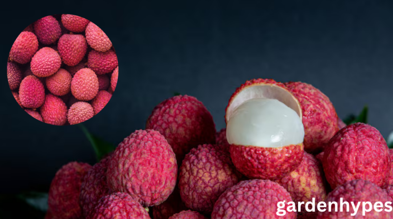 lychee fruit