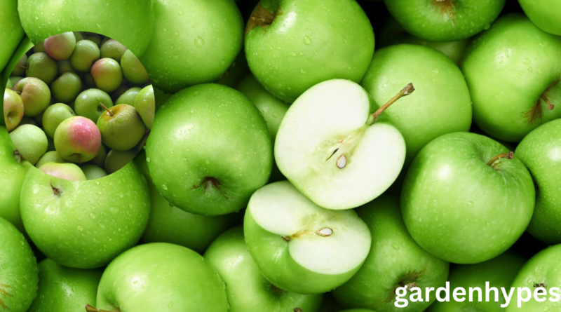 green apple varieties
