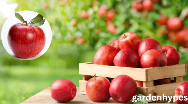 apple season