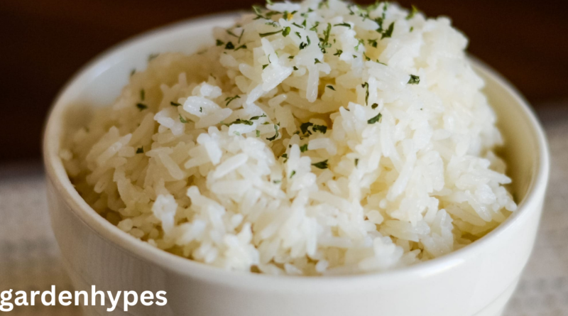 ninja foodi rice
