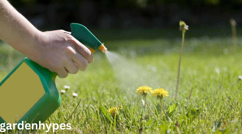 Homemade Weed Control
