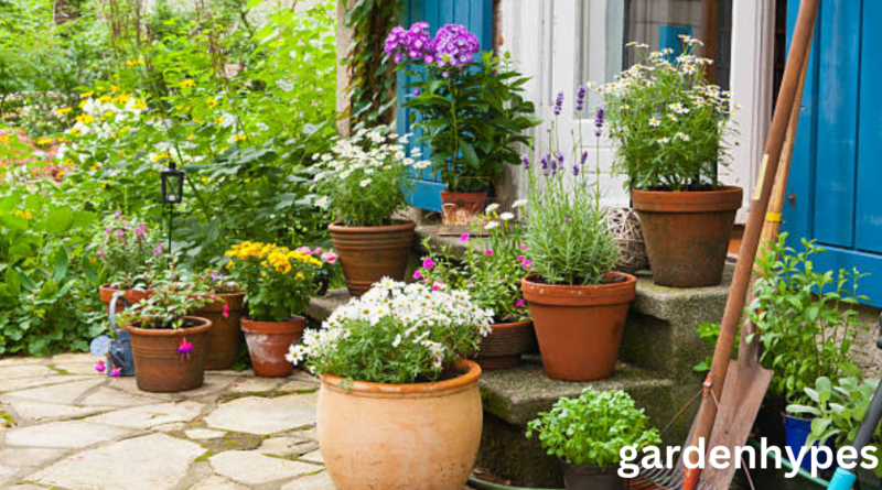 Outdoor Potted Plants