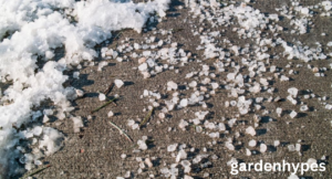 will epsom salt melt ice
