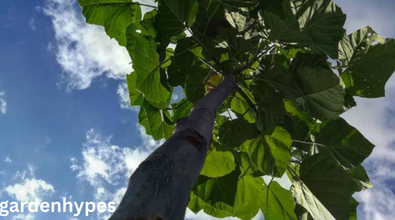 large tall weeds with thick stalks