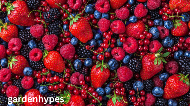 strawberry varieties