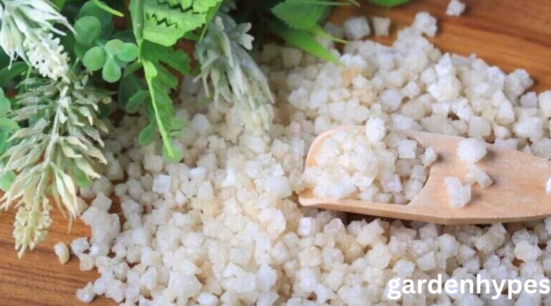 Does Epsom Salt Kill Weeds