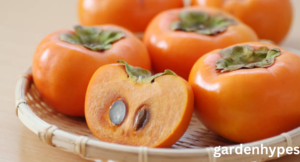 fuyu persimmon