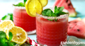 watermelon mocktail