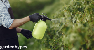 Homemade Weed Control