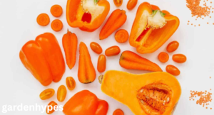 orange vegetables