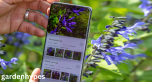 best free plant identification apps