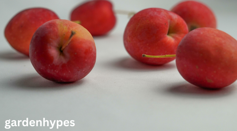 Fruits That Look Like Apples