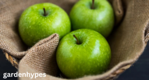 green apple varieties