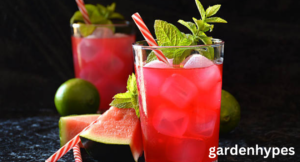 watermelon mocktail