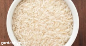 ninja foodi rice