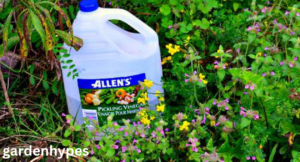 Homemade Weed Control