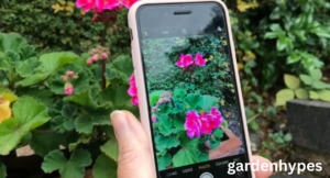 best free plant identification app