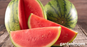 Watermelon shortage