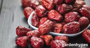 fruits that look like plums