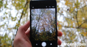 tree identification app