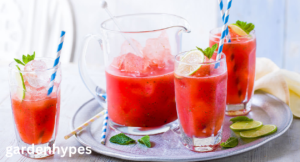 watermelon mocktail