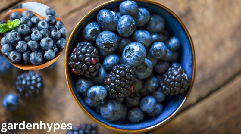 teal fruits
